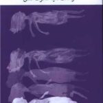 کتاب برف تابستانی و هفت ثایه سکوت عشق