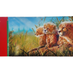 مداد رنگی 50 رنگ فکتیس