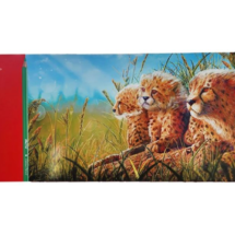 مداد رنگی 50 رنگ فکتیس