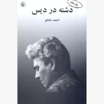 دشنه در دیس