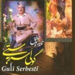 کتاب گولی سه ر به ستی