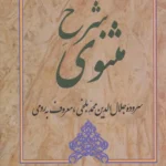 کتاب شرح مثنوی (جلد اول)