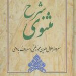 شرح مثنوی (جلد 4)