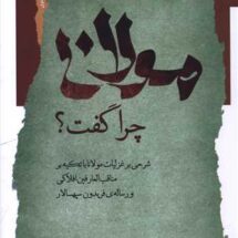 مولانا چرا گفت
