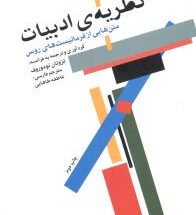 نظریه ادبیات