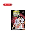 Demon Slayer 11