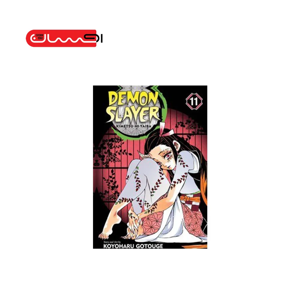 Demon Slayer 11