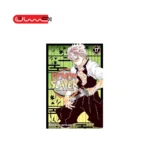 Demon Slayer 17